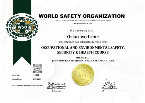 Irene_Oriarewo_HSE 2_page-0001