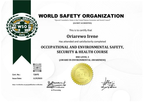 Irene_Oriarewo_HSE 3_page-0001